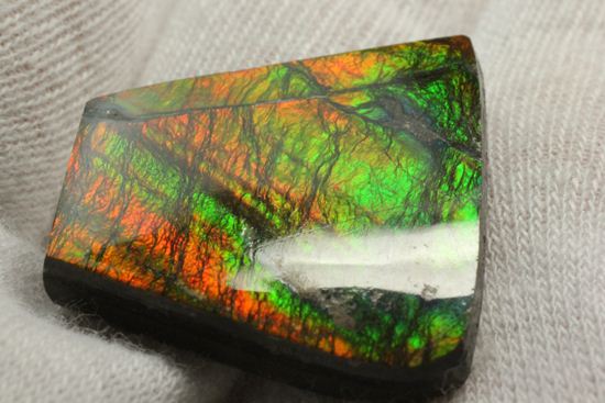 台形のフォルムをした綺麗な赤色アンモライト(Ammolite)（その8）