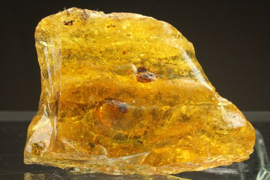 ドミニカの森がよみがえる!わんさか虫入りドミニカ産琥珀(Amber)(その1)