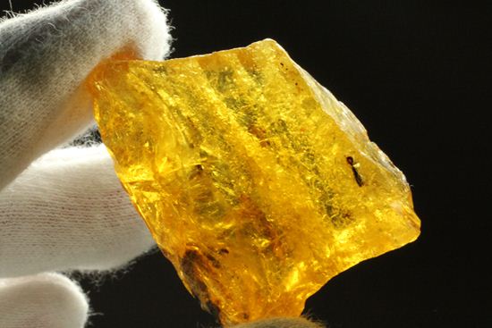 ドミニカの森がよみがえる!わんさか虫入りドミニカ産琥珀(Amber)(その11)