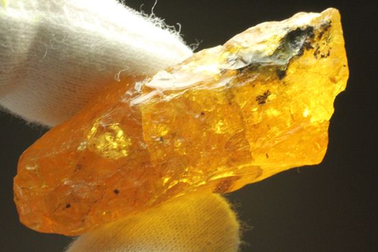 ドミニカの森がよみがえる!わんさか虫入りドミニカ産琥珀(Amber)(その14)