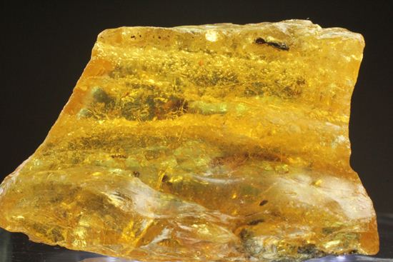 ドミニカの森がよみがえる!わんさか虫入りドミニカ産琥珀(Amber)(その5)