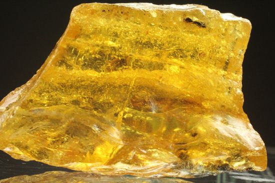 ドミニカの森がよみがえる!わんさか虫入りドミニカ産琥珀(Amber)(その7)