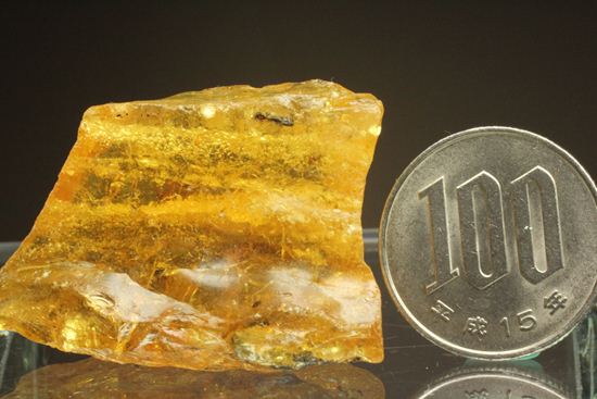 ドミニカの森がよみがえる!わんさか虫入りドミニカ産琥珀(Amber)(その8)