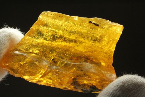ドミニカの森がよみがえる!わんさか虫入りドミニカ産琥珀(Amber)(その9)