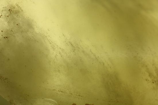 あのツタンカーメンの胸飾りに珍重した隕石！！リビア砂漠から発見されたインパクトグラス(Impact glass) LIBYAN DESERT GLASS（その9）