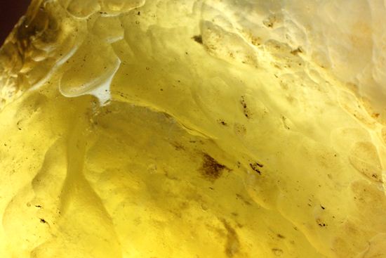 1932年に発見されたリビアの隕石 インパクトグラス(Impact glass) LIBYAN DESERT GLASS(その15)