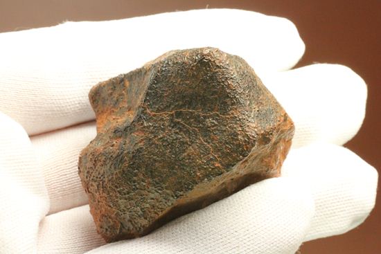 1960年10月オーストラリアに落下した隕石　ユークライト　Polymict eucrite  Millbillillie （その13）