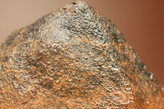 1960年10月オーストラリアに落下した隕石　ユークライト　Polymict eucrite  Millbillillie （その3）