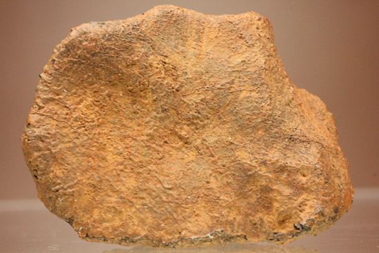 1960年10月オーストラリアに落下した隕石　ユークライト　Polymict eucrite  Millbillillie （その7）