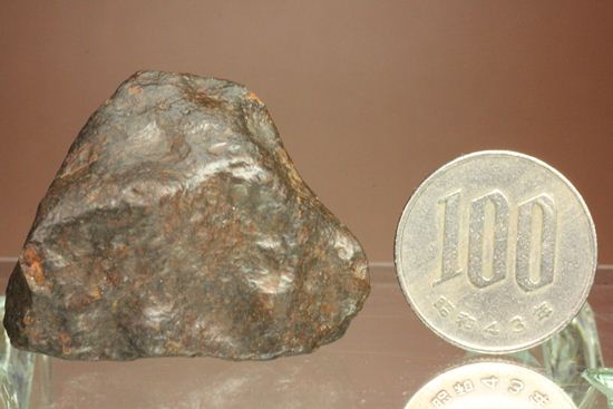 隕石コレクションを始める方におススメ！サハラ砂漠の隕石　コンドライト　NWA XXX（その15）