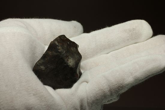 隕石コレクションを始める方におススメ！サハラ砂漠の隕石　コンドライト　NWA XXX（その6）