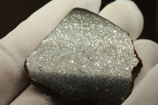 2009年にメキシコで発見された石質隕石　La Cienega（その12）