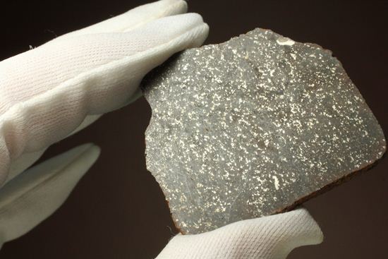 2009年にメキシコで発見された石質隕石　La Cienega（その17）