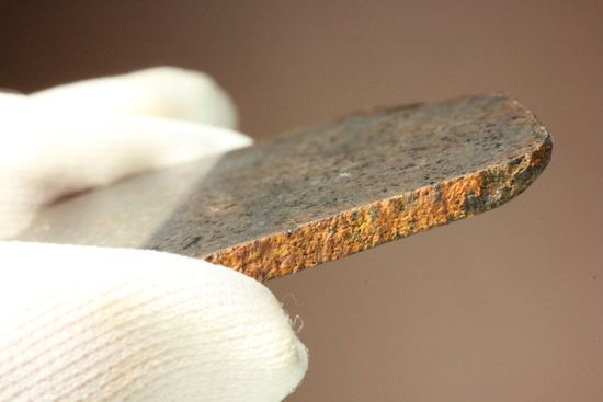 2009年にメキシコで発見された石質隕石　La Cienega（その7）