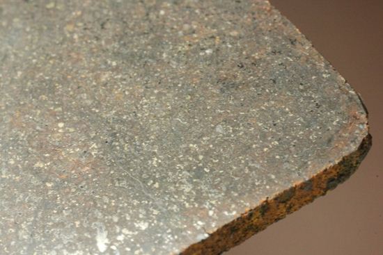 2009年にメキシコで発見された石質隕石　La Cienega（その8）