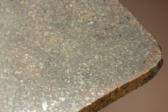 2009年にメキシコで発見された石質隕石 La Cienega(その8)
