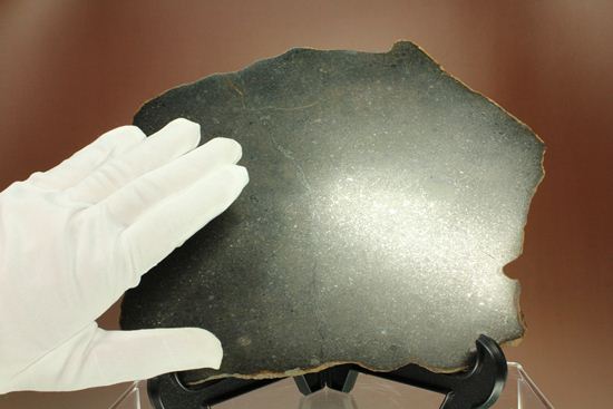 歴史的価値の高いプレミア標本！偉大な隕石コレクターのコレクション隕石　 （その10）