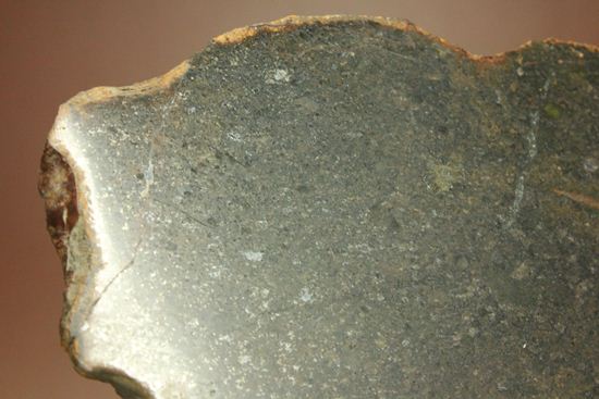 歴史的価値の高いプレミア標本！偉大な隕石コレクターのコレクション隕石　 （その11）
