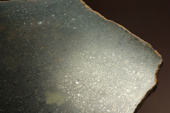 歴史的価値の高いプレミア標本！偉大な隕石コレクターのコレクション隕石　 （その3）