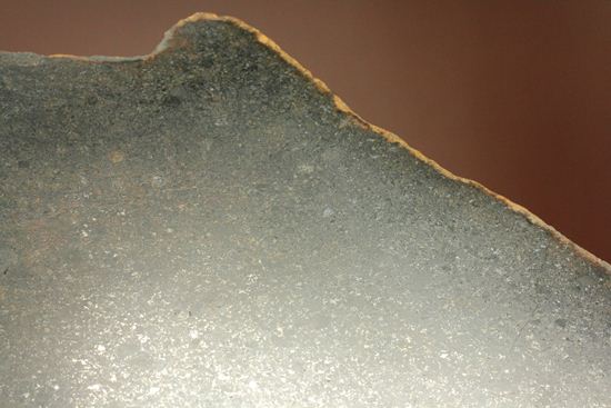 歴史的価値の高いプレミア標本！偉大な隕石コレクターのコレクション隕石　 （その7）