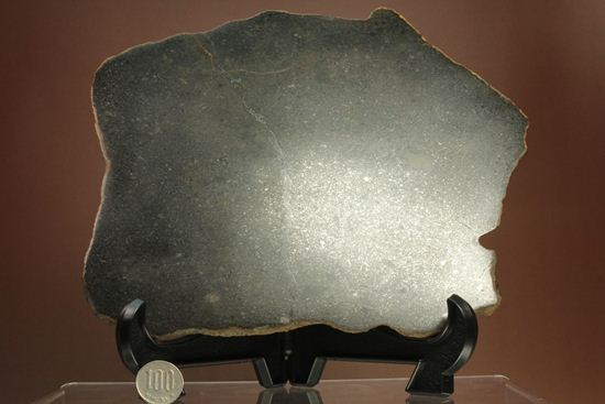 歴史的価値の高いプレミア標本！偉大な隕石コレクターのコレクション隕石　 （その8）