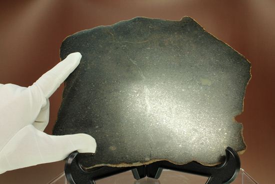 歴史的価値の高いプレミア標本！偉大な隕石コレクターのコレクション隕石　 （その9）