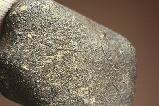 有名ハンター、スティーブ・アーノルドによって採取された隕石！2009年2月15日、テキサス州で発見！（その10）