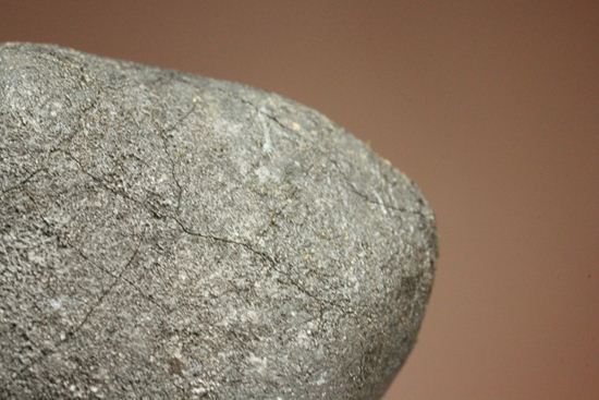 有名ハンター、スティーブ・アーノルドによって採取された隕石！2009年2月15日、テキサス州で発見！（その12）