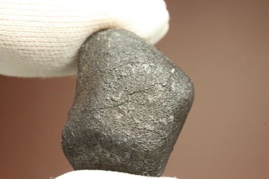 有名ハンター、スティーブ・アーノルドによって採取された隕石！2009年2月15日、テキサス州で発見！（その13）