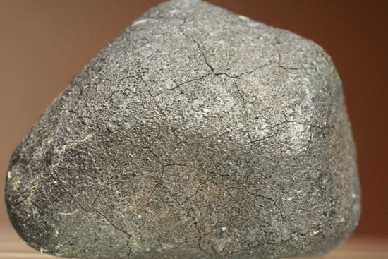 有名ハンター、スティーブ・アーノルドによって採取された隕石！2009年2月15日、テキサス州で発見！（その3）