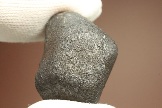 有名ハンター、スティーブ・アーノルドによって採取された隕石！2009年2月15日、テキサス州で発見！（その7）