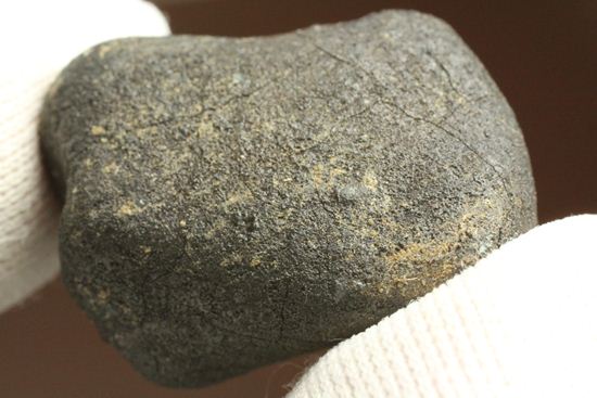 有名ハンター、スティーブ・アーノルドによって採取された隕石！2009年2月15日、テキサス州で発見！（その8）