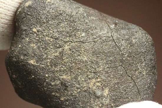 有名ハンター、スティーブ・アーノルドによって採取された隕石！2009年2月15日、テキサス州で発見！（その9）
