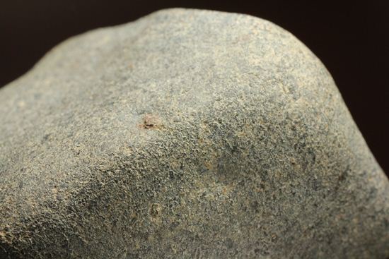 あの、隕石ハンターロバート・ハーグコレクション！博物館級！オーストラリアで1899年に落下した隕石Tenham（その14）