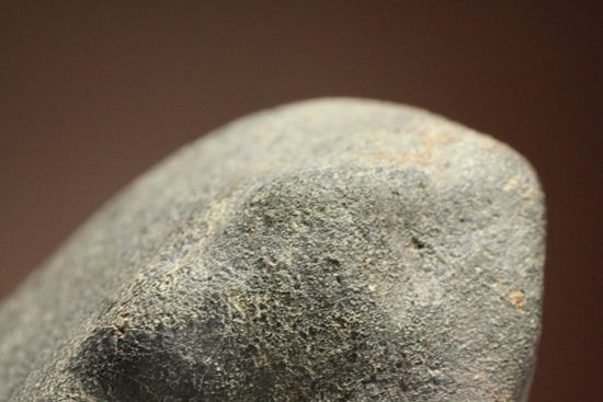 あの、隕石ハンターロバート・ハーグコレクション！博物館級！オーストラリアで1899年に落下した隕石Tenham（その16）