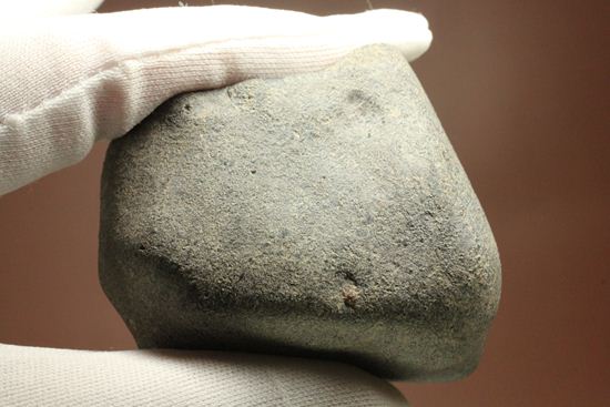 あの、隕石ハンターロバート・ハーグコレクション！博物館級！オーストラリアで1899年に落下した隕石Tenham（その8）
