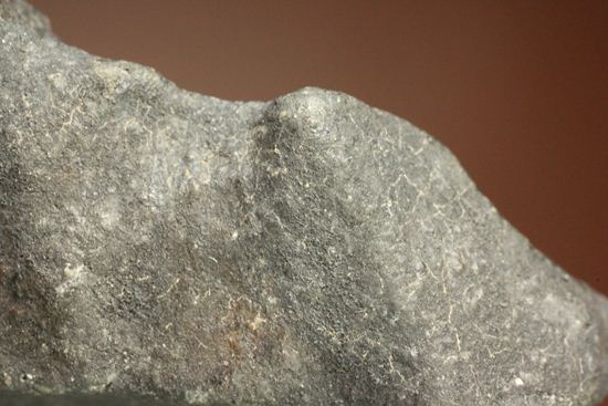 2007年夏に落下が目撃されている貴重な普通コンドライト隕石Chergach（その10）