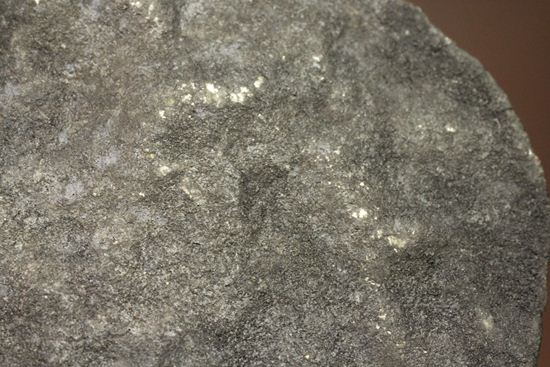 2007年夏に落下が目撃されている貴重な普通コンドライト隕石Chergach（その12）