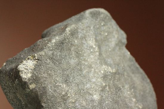 2007年夏に落下が目撃されている貴重な普通コンドライト隕石Chergach（その5）