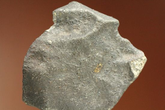 2007年夏に落下が目撃されている貴重な普通コンドライト隕石Chergach（その7）