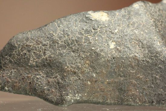 2007年夏に落下が目撃されている貴重な普通コンドライト隕石Chergach（その8）