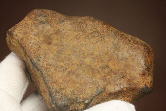 デカイ！重い！1960年、3月5日に落下した石質隕石GAO-GUENIE（その11）