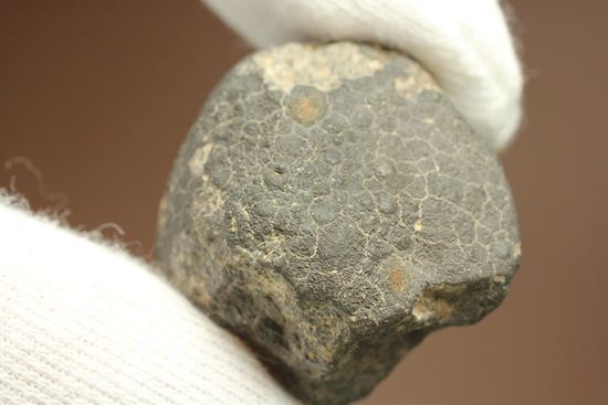 初めて隕石を入手したい方におすすめ！1969年2月8日、メキシコに落下した隕石　ALLENDE（その10）