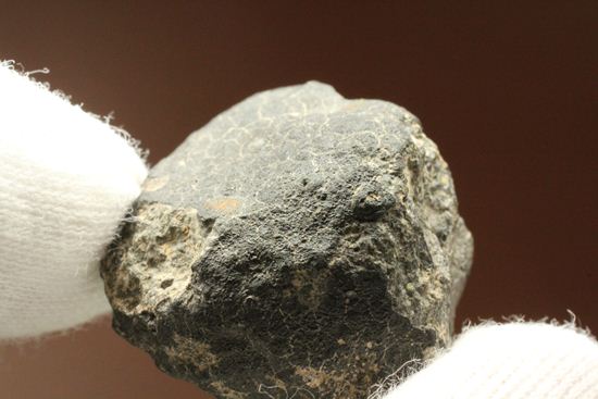 初めて隕石を入手したい方におすすめ！1969年2月8日、メキシコに落下した隕石　ALLENDE（その11）