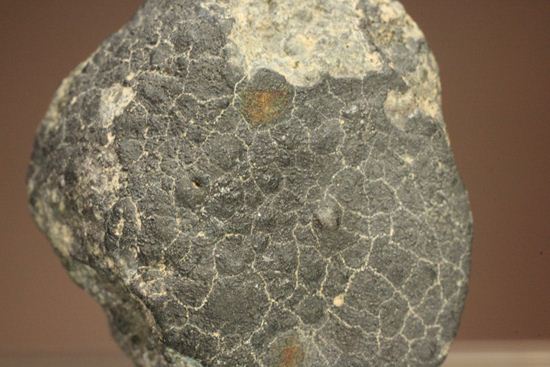 初めて隕石を入手したい方におすすめ！1969年2月8日、メキシコに落下した隕石　ALLENDE（その2）