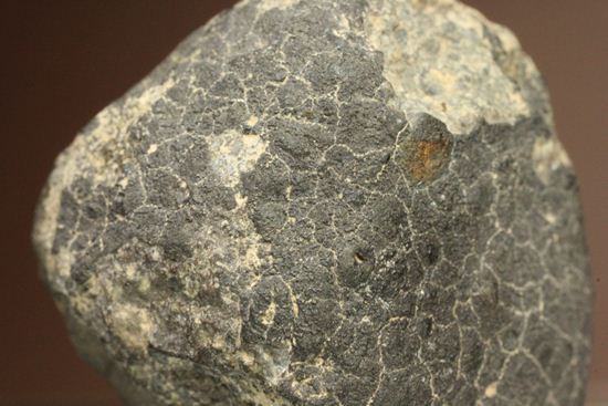 初めて隕石を入手したい方におすすめ！1969年2月8日、メキシコに落下した隕石　ALLENDE（その8）