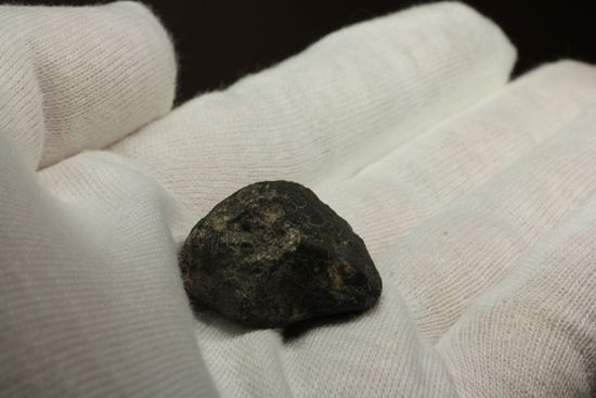 初めて隕石を入手したい方におすすめ！1969年2月8日、メキシコに落下した隕石　ALLENDE（その9）