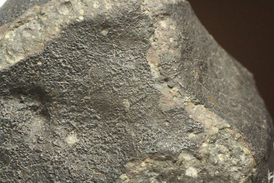 100ｇオーバー！！ロバート・ハーグコレクション隕石！太陽系最古の物質を含む、アエンデ隕石(ALLENDE)（その12）