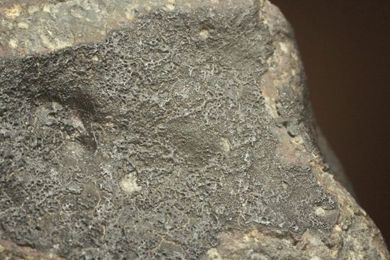 100ｇオーバー！！ロバート・ハーグコレクション隕石！太陽系最古の物質を含む、アエンデ隕石(ALLENDE)（その13）