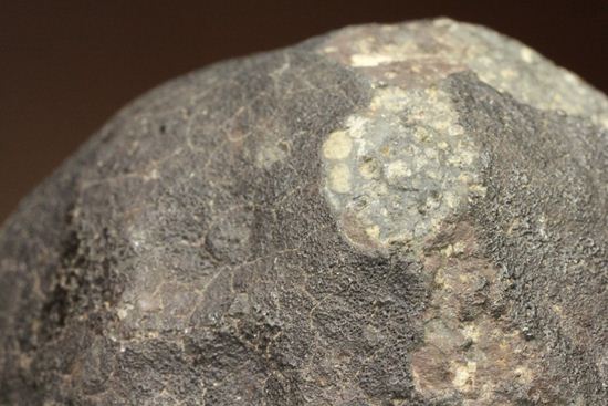 100ｇオーバー！！ロバート・ハーグコレクション隕石！太陽系最古の物質を含む、アエンデ隕石(ALLENDE)（その6）